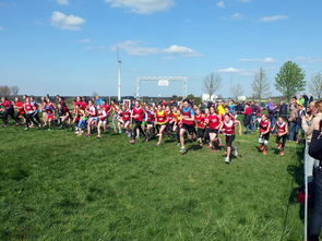 mk体育全站-青少年体育锻炼行为促进措施研究，《青少年体育活动促进计划》