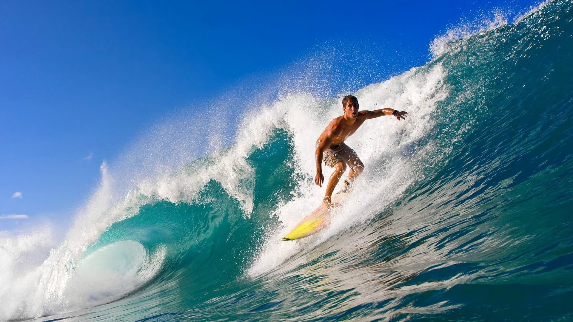 mk体育全站-体育新闻中心协办高校体育媒体融合交流会，体育媒体服务