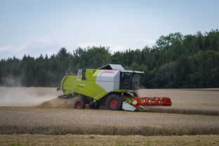 mksports官网-田径跨项目交流营探索协同训练新方式，田径跨栏的动作讲解