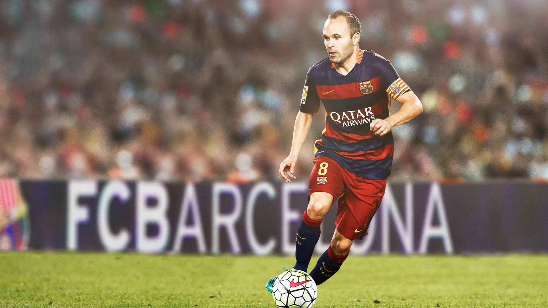 蝶泳初赛突尼斯新秀表现不俗，最新蝶泳视频